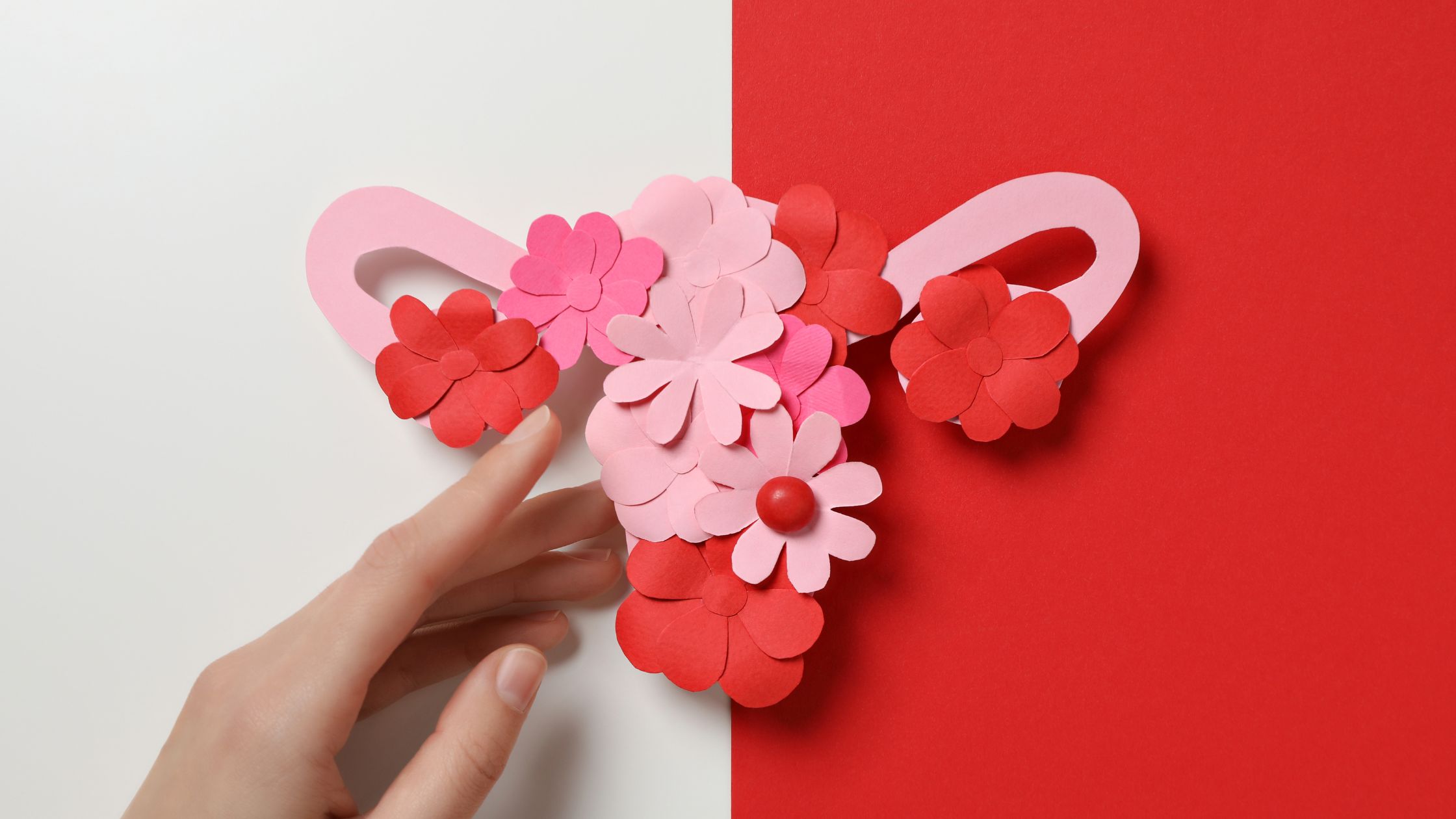 perimenopause and menopause